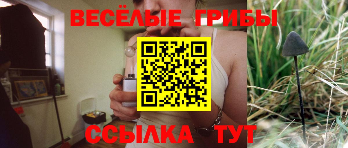 дарнет шоп  Вход с VPN  Озёрск  Галлюциногенные грибы мицелий 