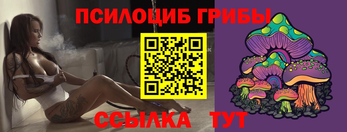 Галлюциногенные грибы Psilocybine cubensis Озёрск