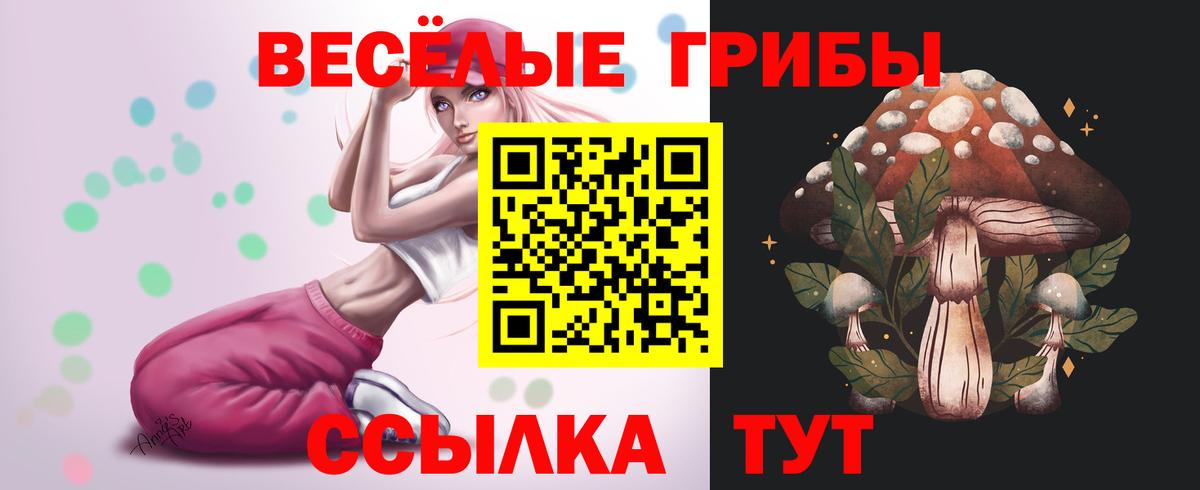 A-PVP Озёрск